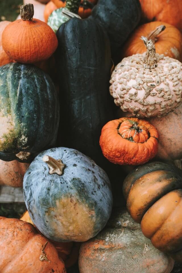 Free Shipping with this coupon code