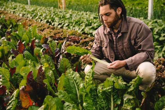 Up to $20 Off Summer Items