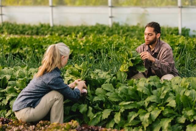 Up to 15% Off When You Join Newsletter