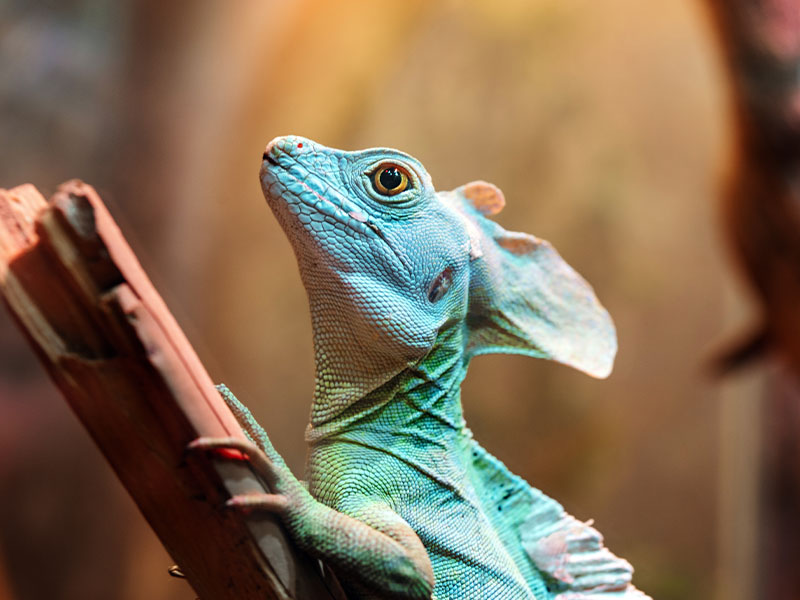 Up to $20 Off Summer Items