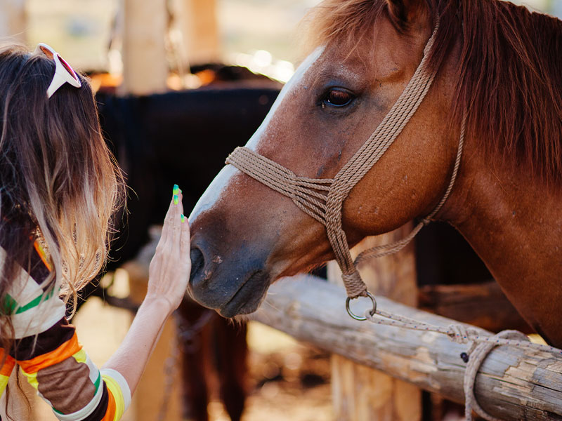 50% when you shop today