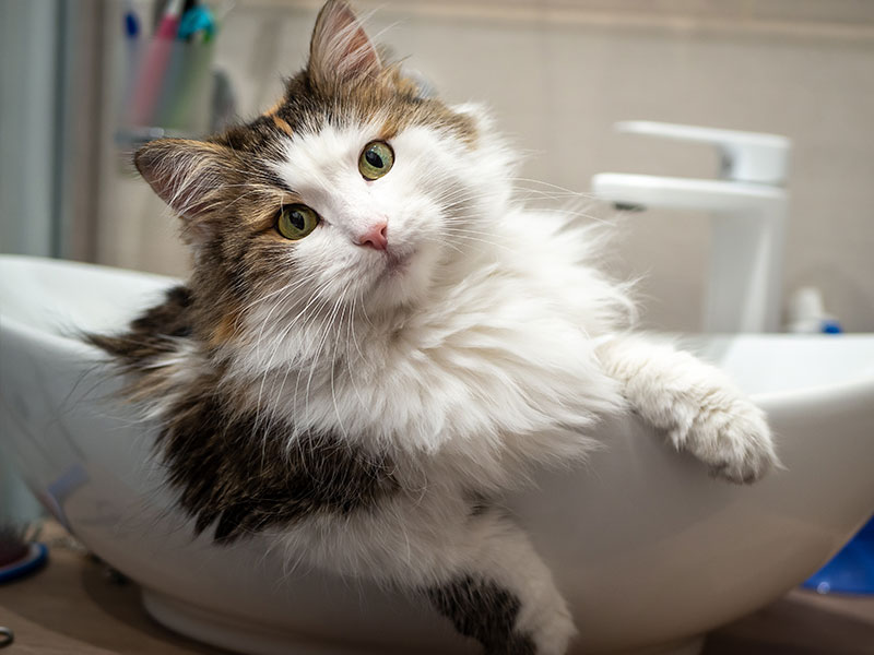 Save 35% on purchased over $50