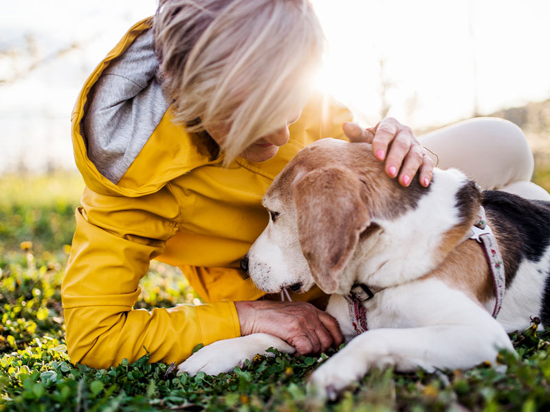 Free Shipping with this coupon code